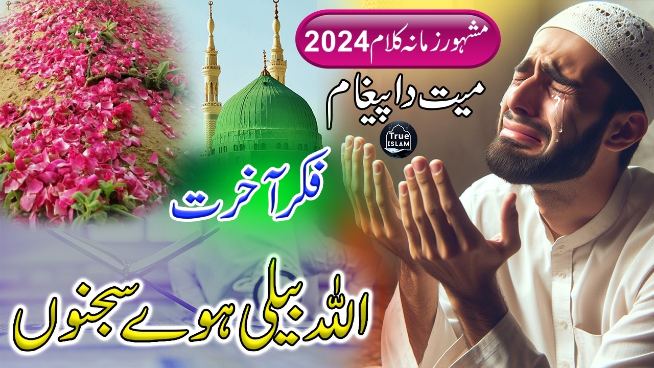 Allah Beli Howe Sajno | New Saraiki Naat Sharif | True Islam