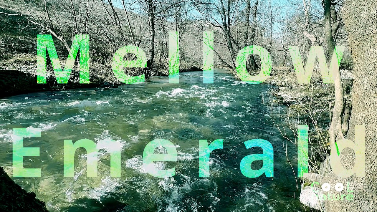 Ambient Sounds - Mellow Emerald