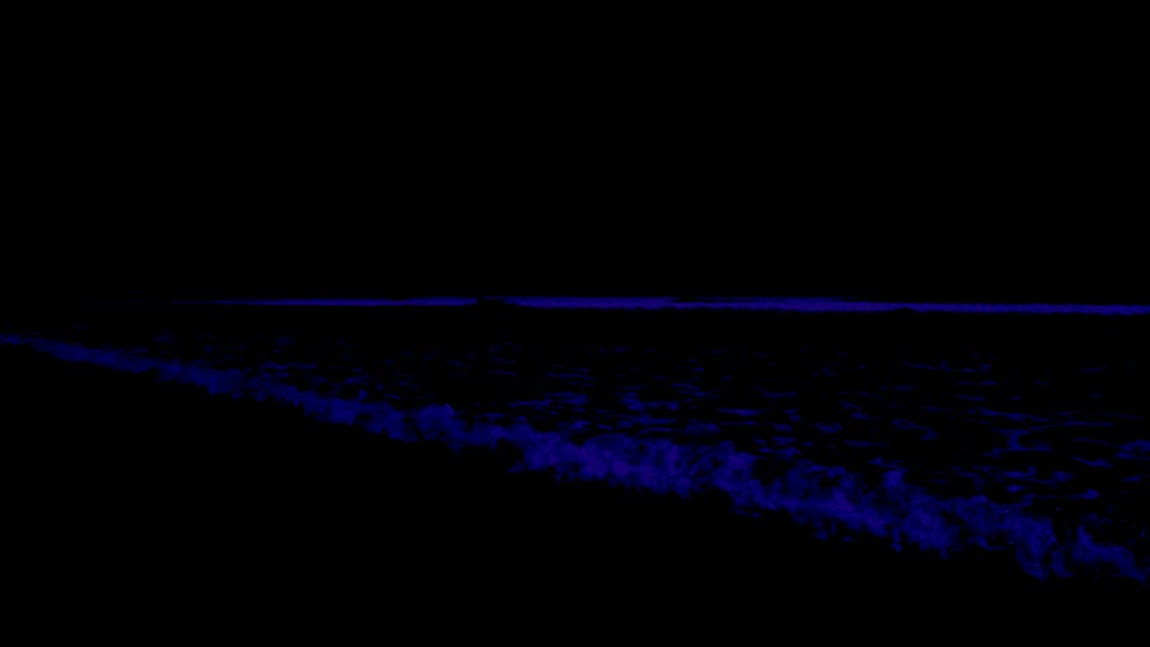 No Ads Remove Insomnia Forever • Rolling Waves In Quiet Night For Calm The Mind and Sleep Instantly