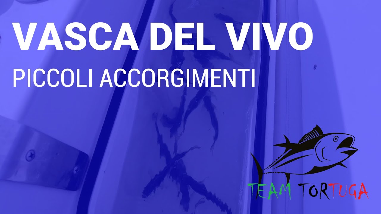 Vasca del Vivo: Piccoli accorgimenti.