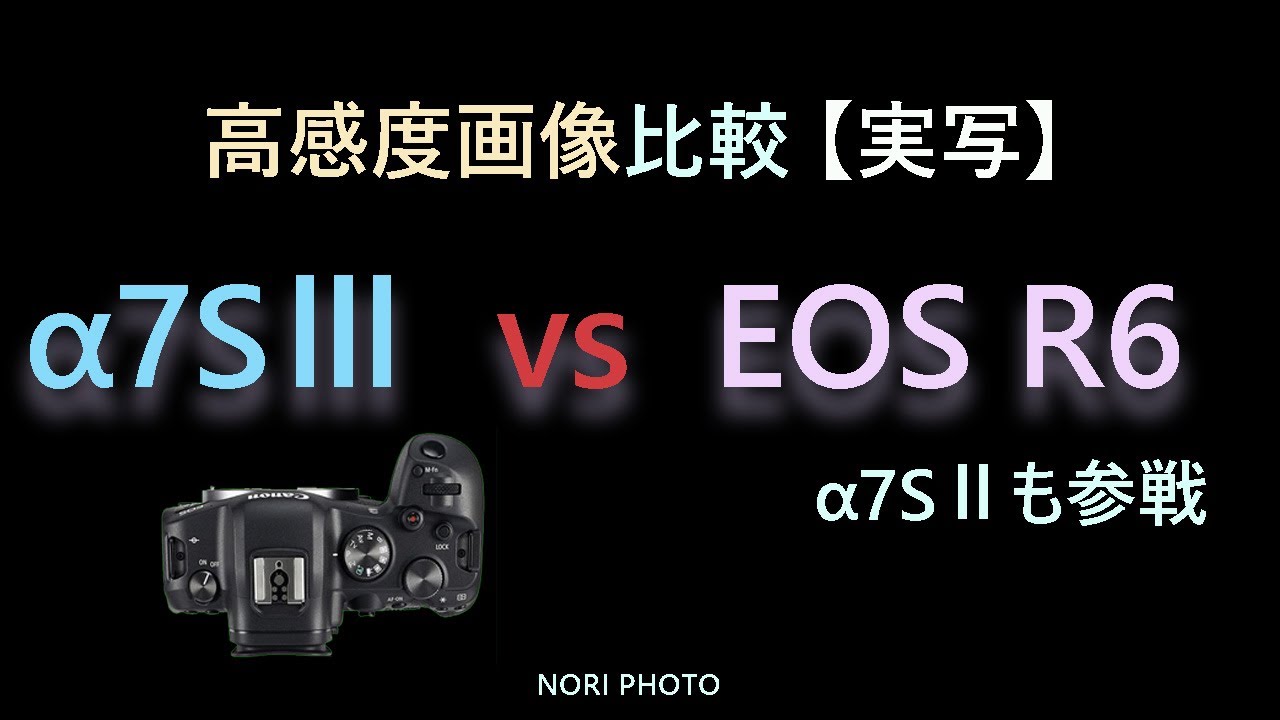 高感度画像比較 実写　SONY α7SⅢ　α7SⅡ　Canon EOS R6