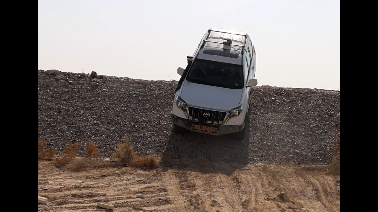 טיול ברכבי שטח 4X4 לנחל ערבה, ינואר 2026 בהובלת שייקה רייך- איתי פלאות - טיולים מזמרים והרצאה מזומרת