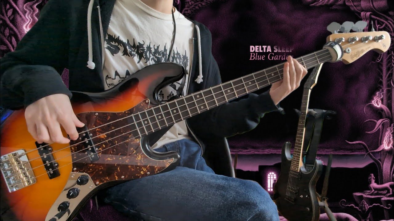 Delta Sleep - The Distance (Bass Cover)