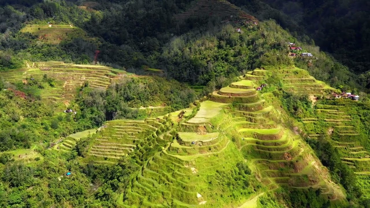 Discover the Banaue Rice Terraces: The Eighth Wonder of the World