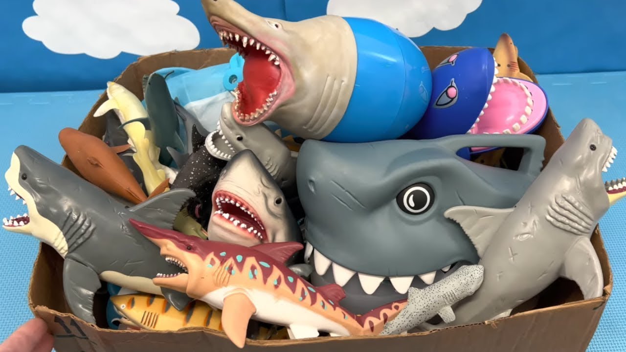 RC Big Blue Whale Shark Unboxing & Testing