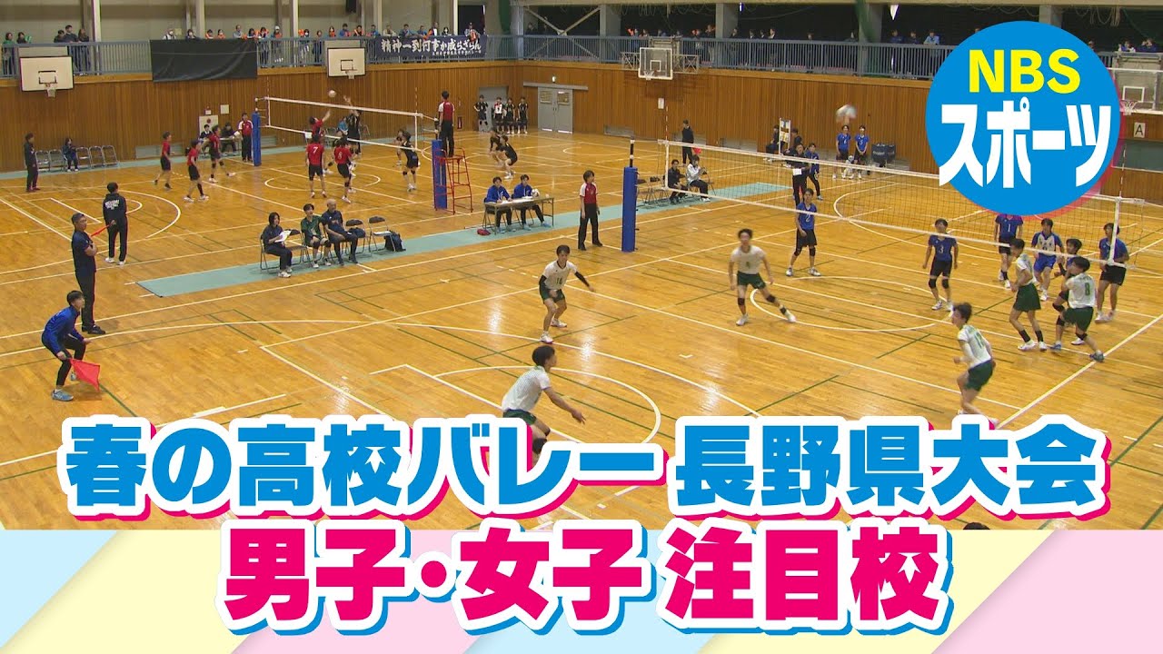 【春の高校バレー長野県大会】男子・女子注目校を紹介