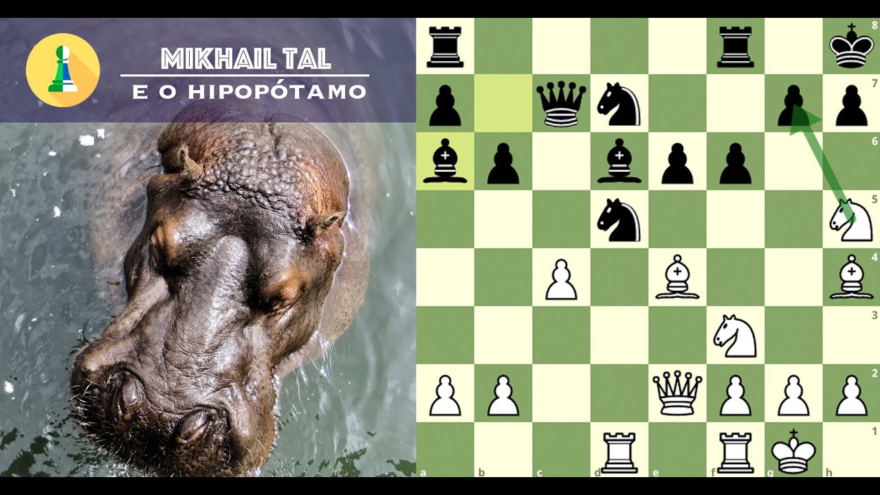 Mikhail Tal e o Hipopótamo no Pântano, a incrível história!