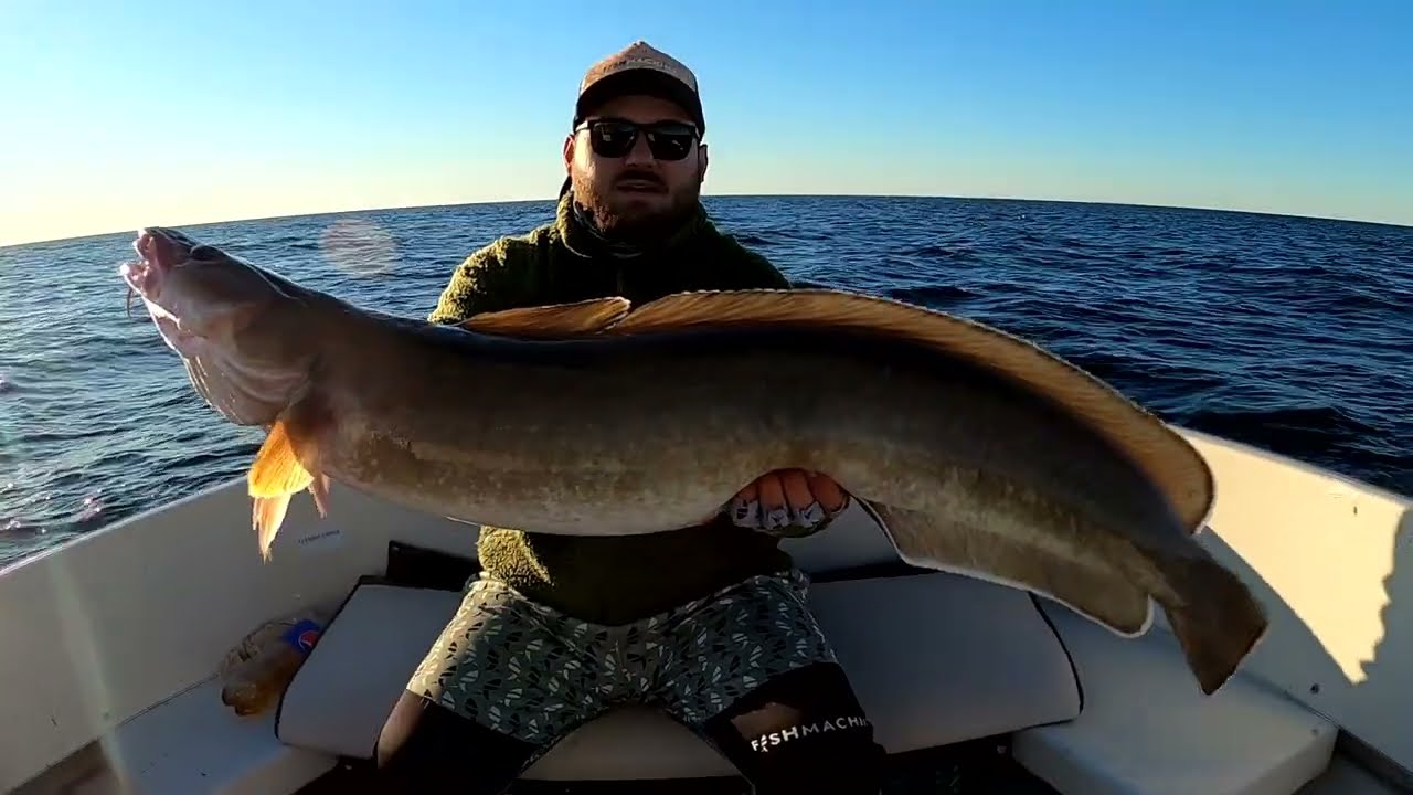 Mysterious fish from the deep