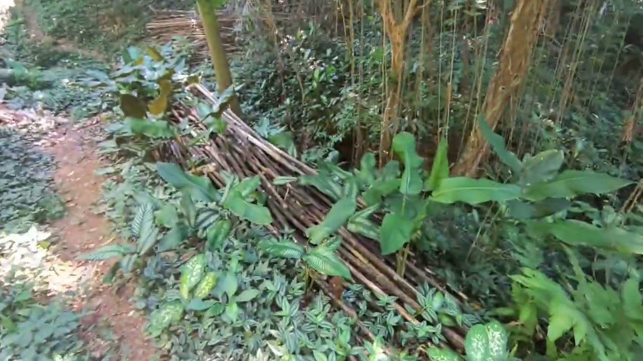 SÍTIO À VENDA EM SAQUAREMA - PARTE 01