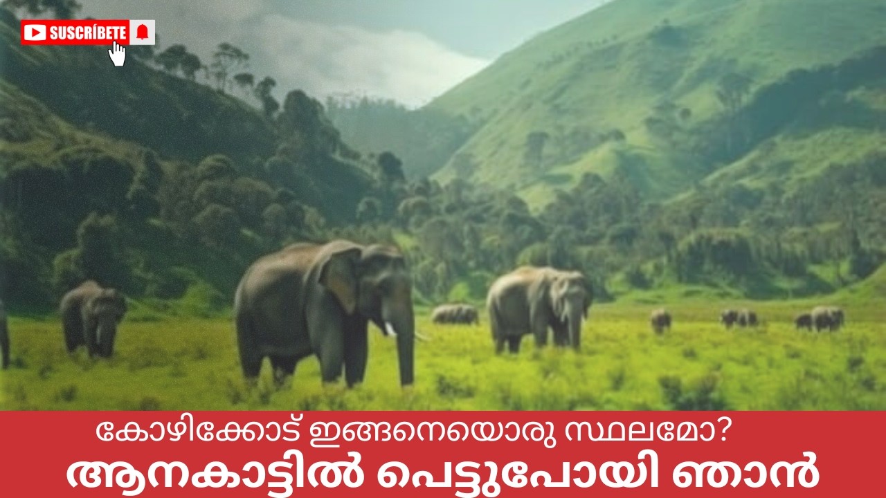 കോഴിക്കോട് ഇങ്ങനെയൊരു സ്ഥലമോ? / Kozhikode | Muthappanpuzha | Anakkampoyil.