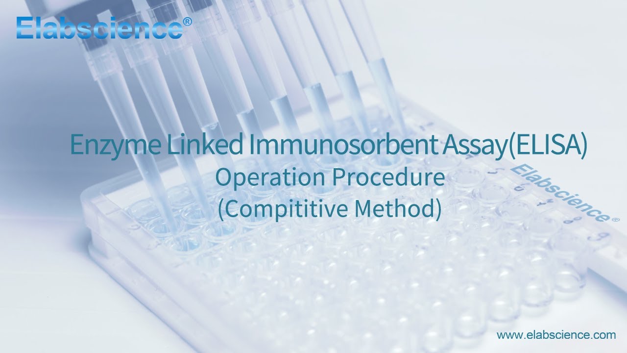 Enzyme Linked lmmunosorbent Assay (ELISA) Operation Procedure (Compititive Method) - Elabscience
