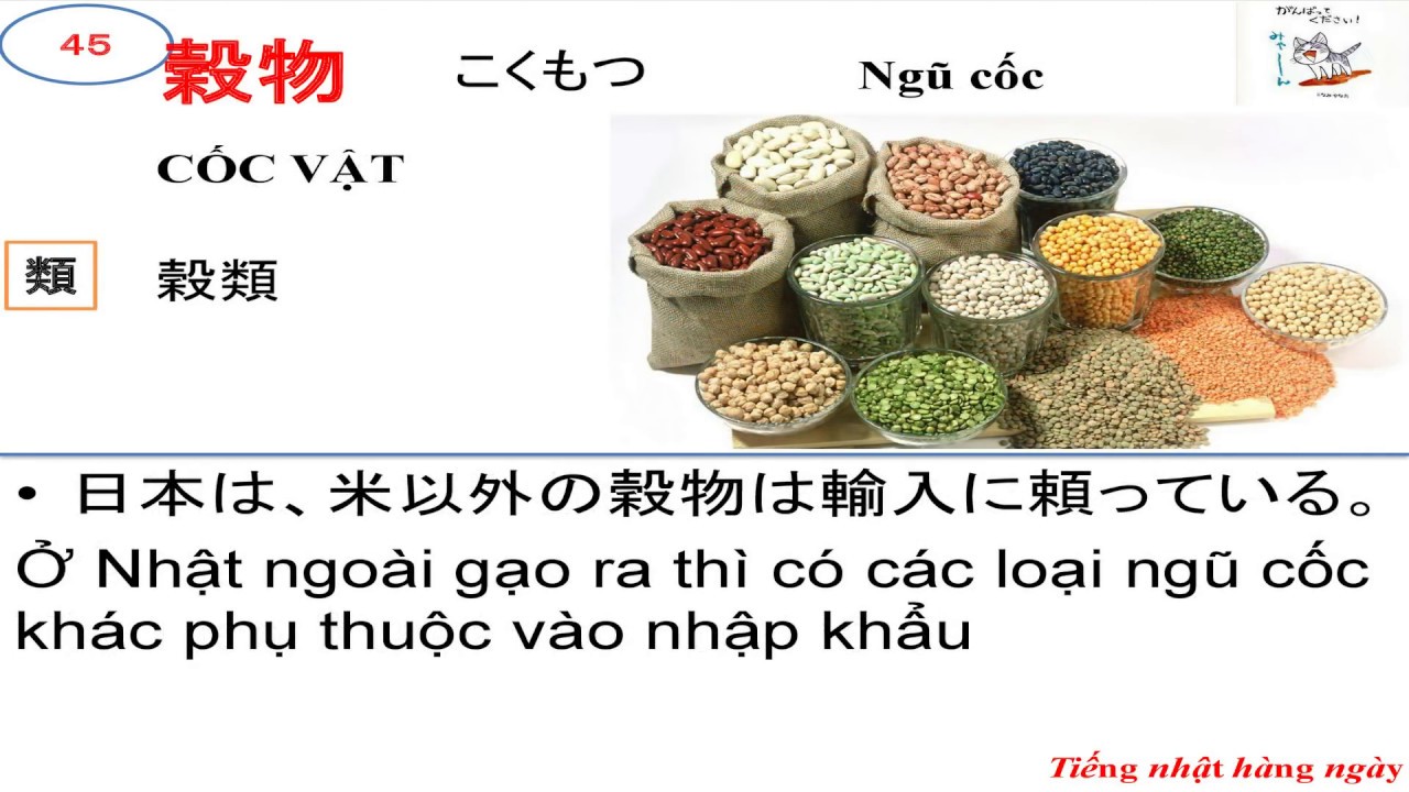 Mimi Kara Oboeru N1 Từ Vựng Bài 1