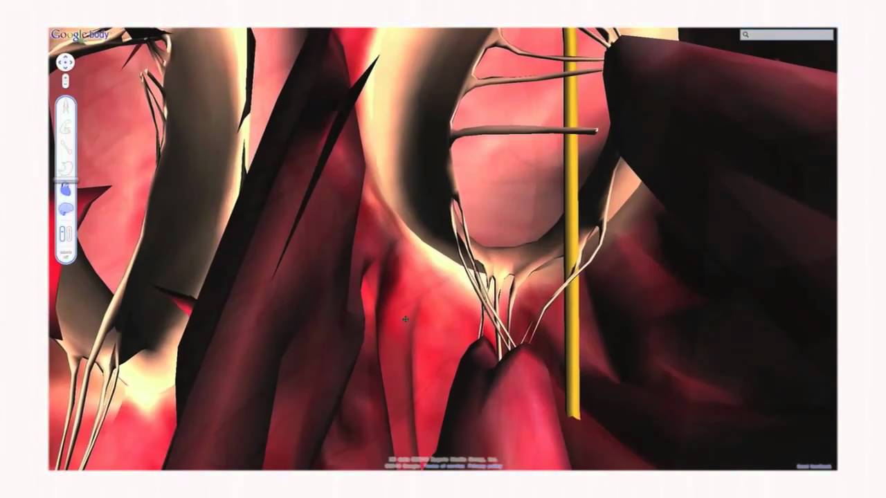 biotechnologie.tv: 71. Folge