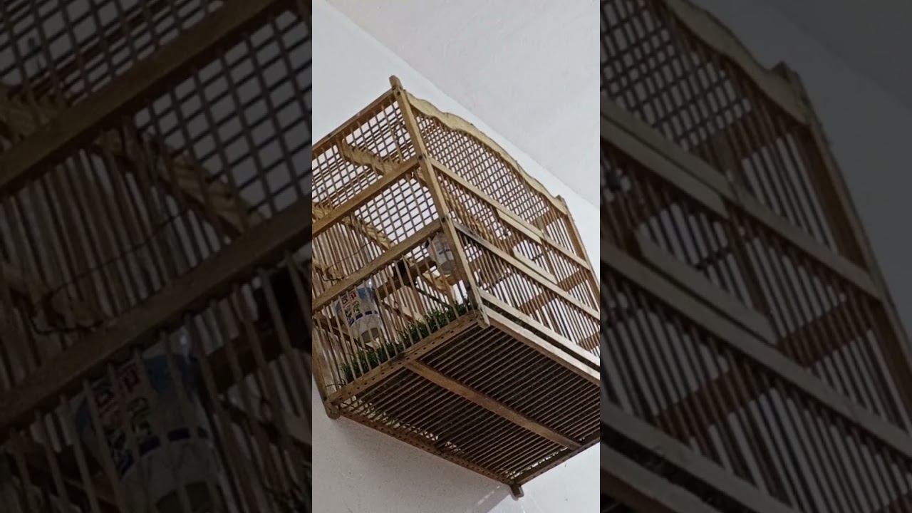 ١٥ يناير ٢٠٢٦