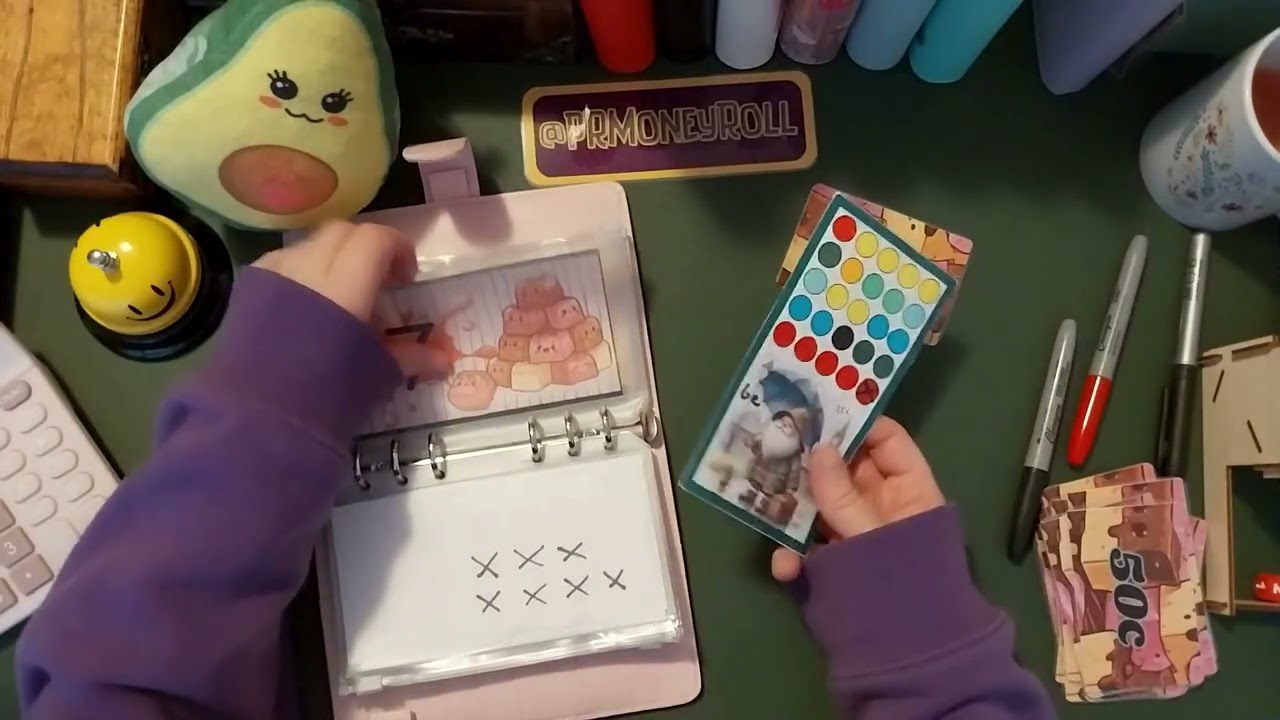 Micro Savings video nro 11