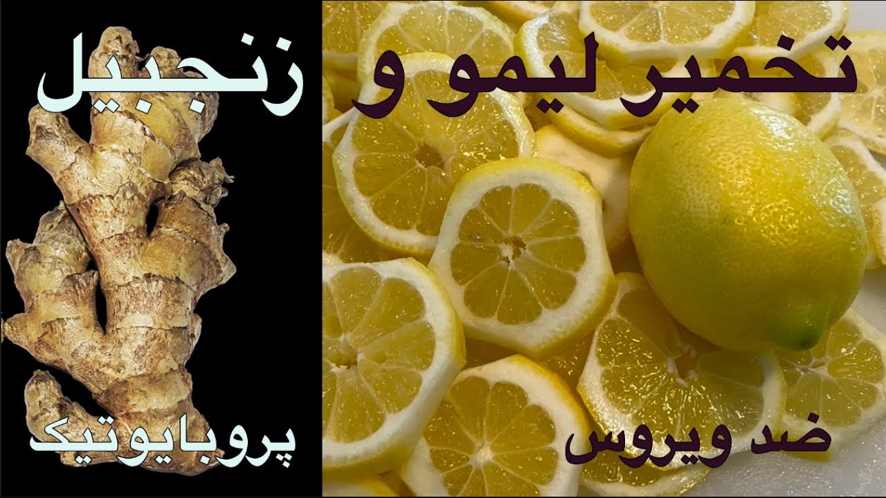 تخمیر  لیمو و زنجبیل٫معجون ضد ویروس و دیتاکس کننده Fermentingg lemon & ginger #ferment #lemon #flu