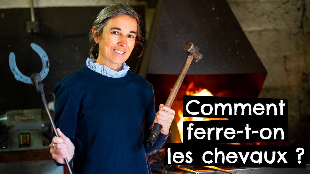Comment ferre-t-on les chevaux ?