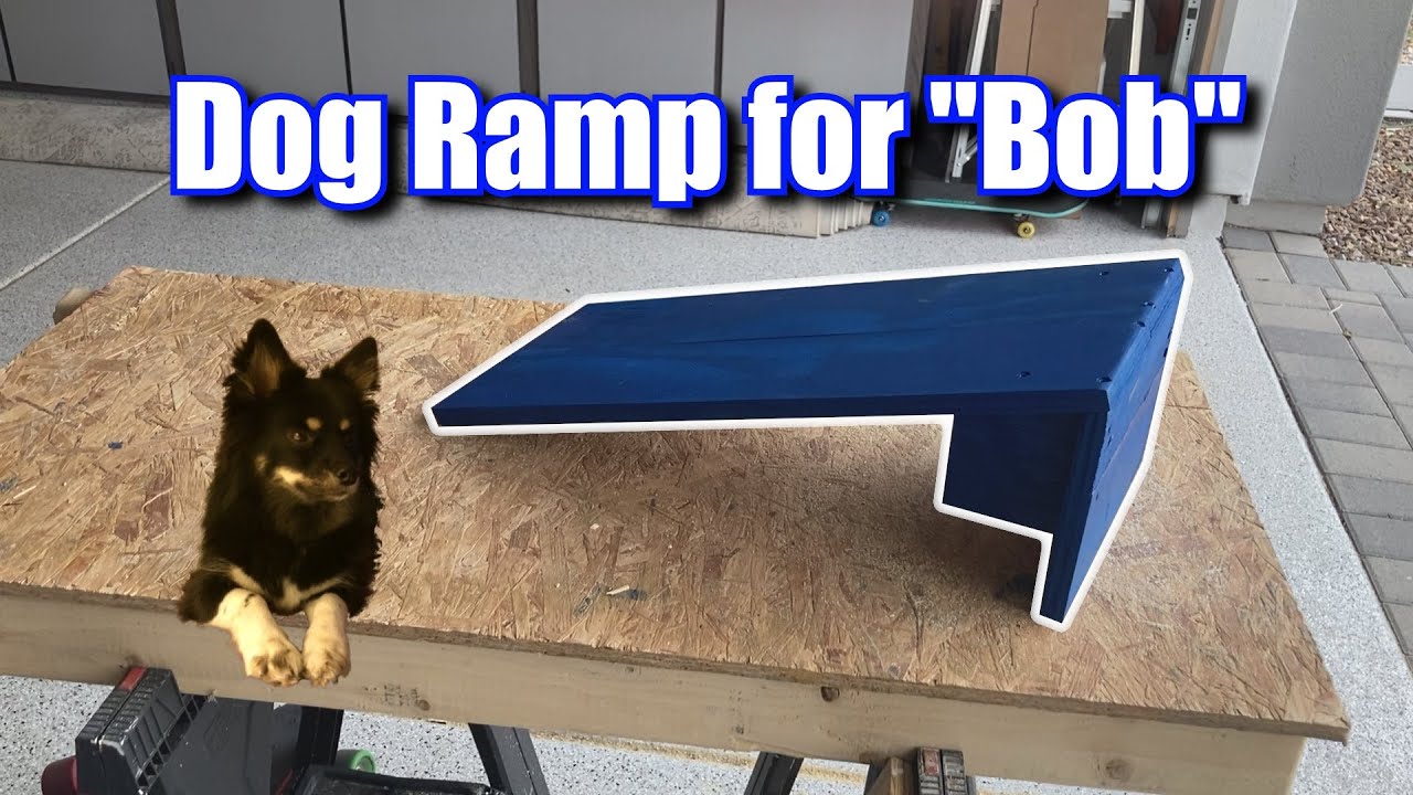 Dog Ramp for our dog 