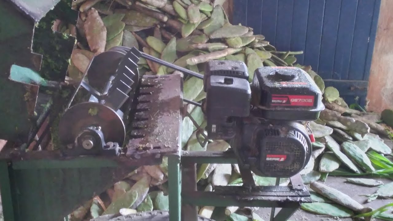 mandei o torneiro fazer um novo rotor picadeira de palma caseira motor estacionario 7hp