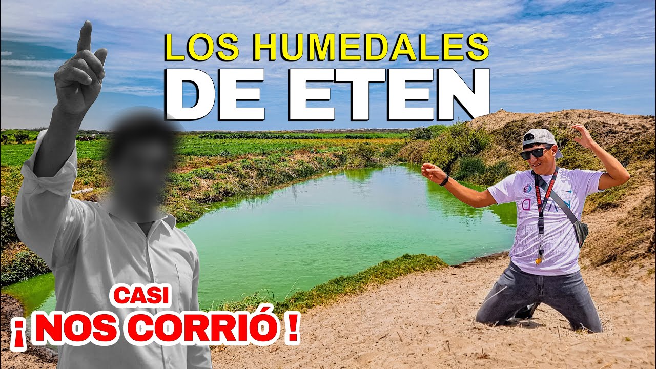 Los HUMEDALES DE ETEN un PARAISO ESCONDIDO a 30 minutos de │CHICLAYO│Lambayeque.
