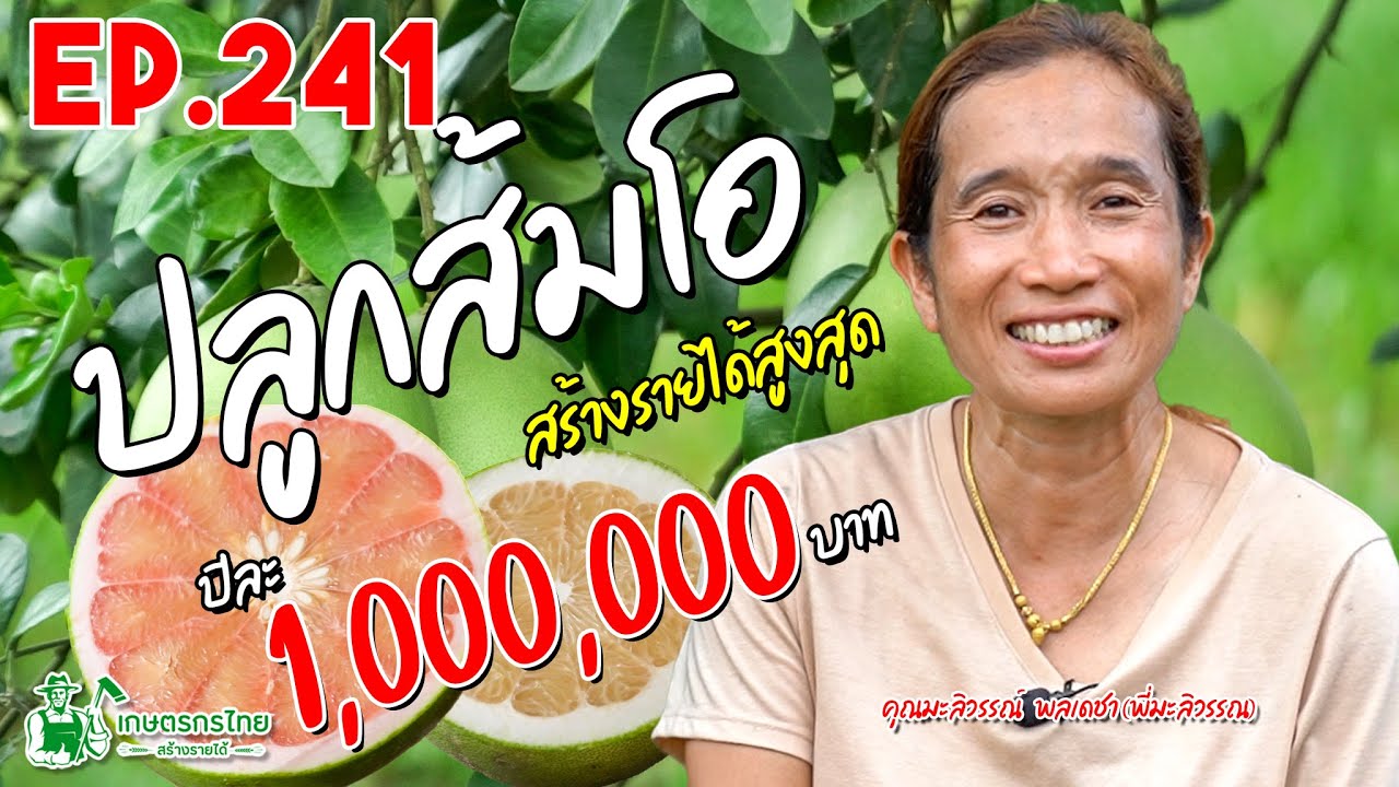 ปลูกส้มโอ สามสายพันธุ์ สร้างรายได้สูงถึงหลัก 1,000,000 บาท/ปี l เกษตรกรไทย สร้างรายได้ Ep241