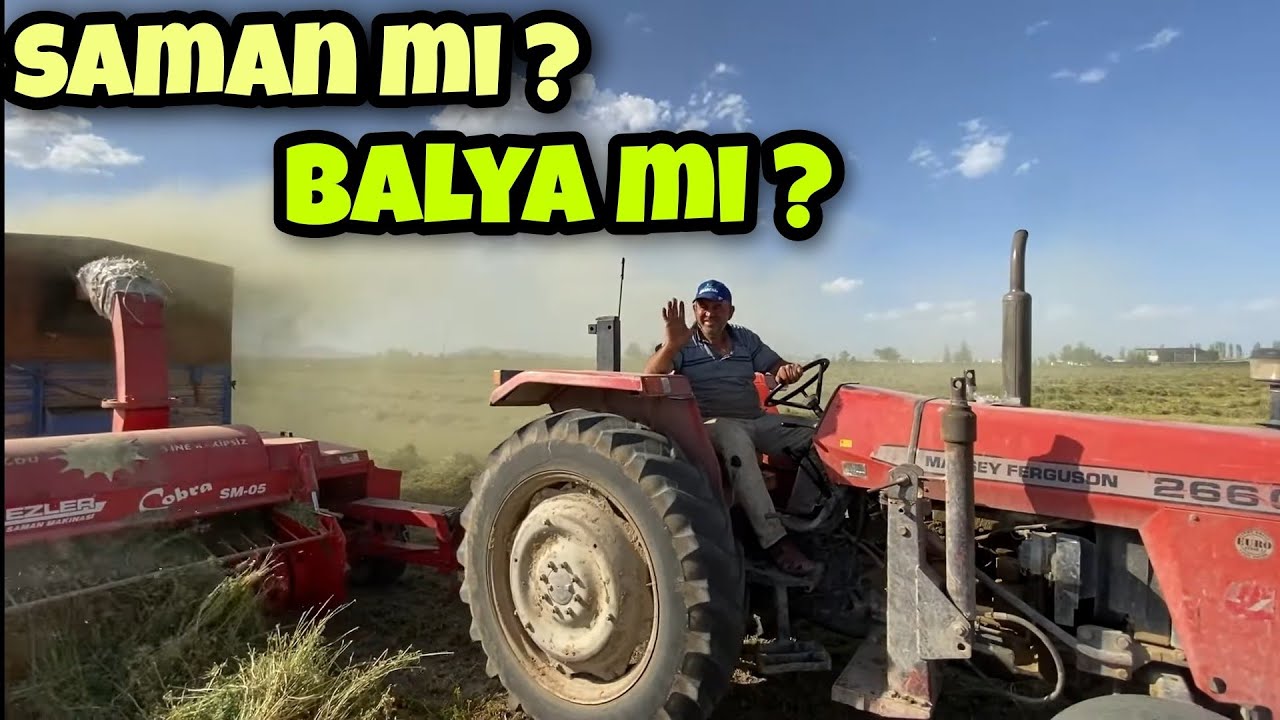 YONCA SAMAN OLUR MU? BESİN DEPOSU YONCA. YAĞMUR GELMEDEN...