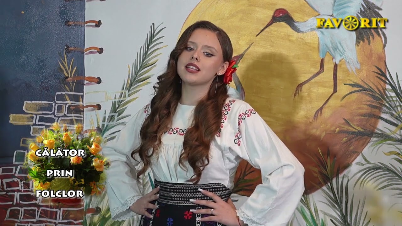 Alina Iordan   Geamparalele
