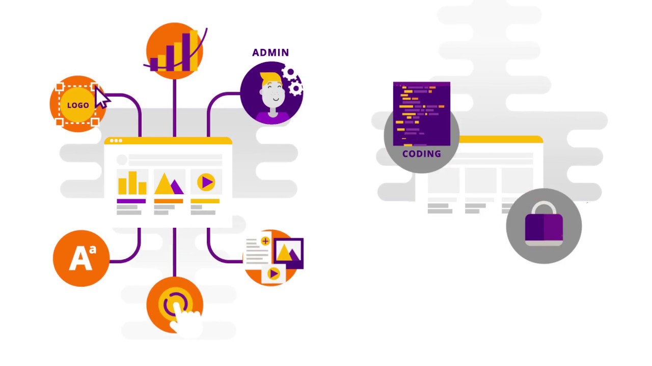 The Best Content Management System (CMS) You Need - Free Consultation