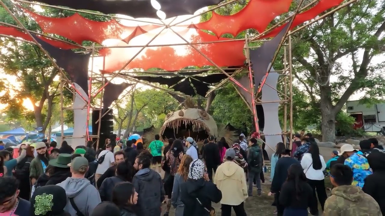 Bombax poison festival 2025🤩😍