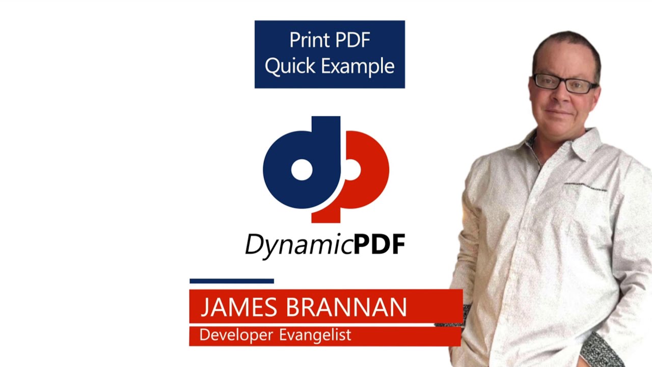 DynamicPDF PrintManager &mdash; простой пример задания печати
