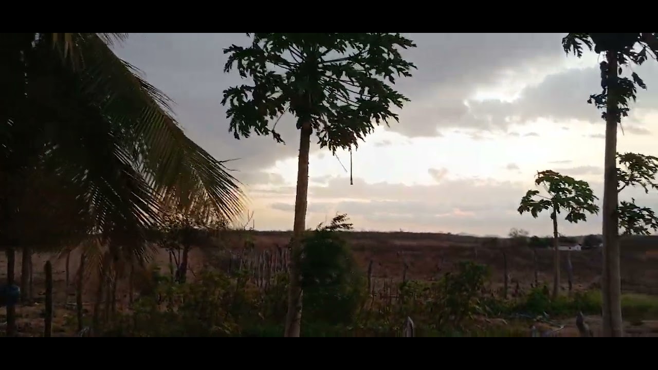 Mais um vídeo aqui da roça🌵