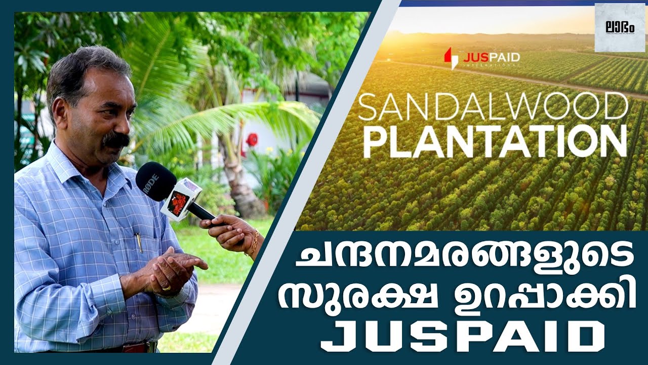 വിലയുള്ള ചന്ദനമരത്തിന് ചിപ്പോ?