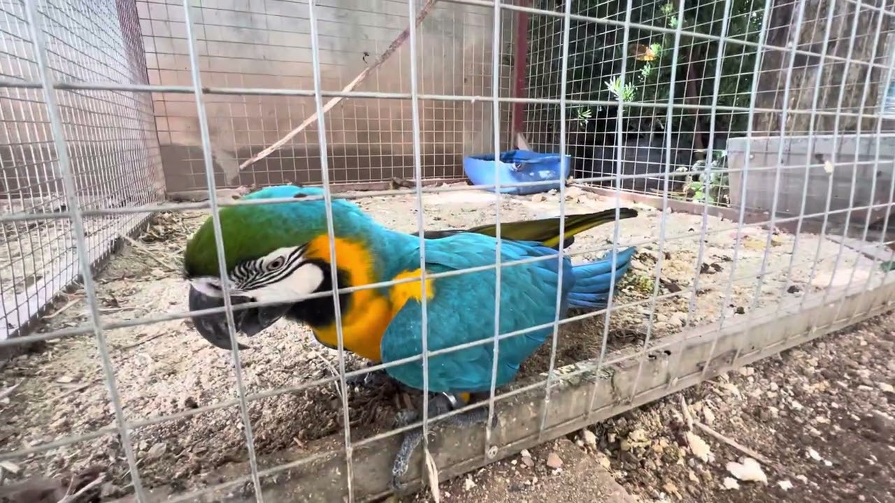 Part 22 They have new house 