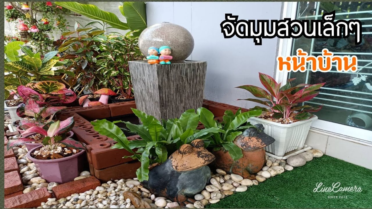 ไอเดียจัดสวนหน้าบ้าน มุมเล็กๆหน้าบ้าน พื้นปูน พื้นที่แคบ#GARDEN#บ้านสวย
