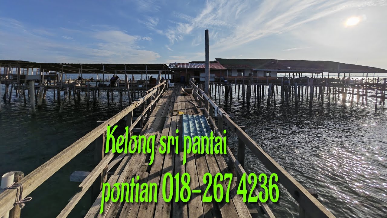 Renew Lesen 2024 di KELONG SRI PANTAI PONTIAN BESAR.. #01@2024