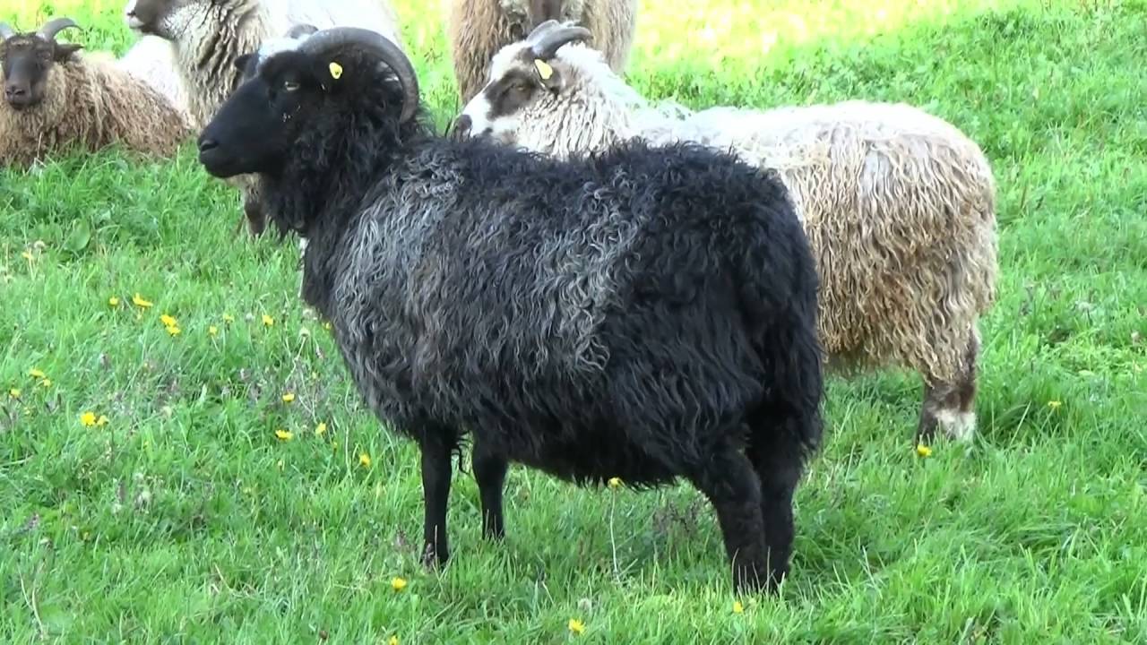 Søndre Ås gård - gården og turstier