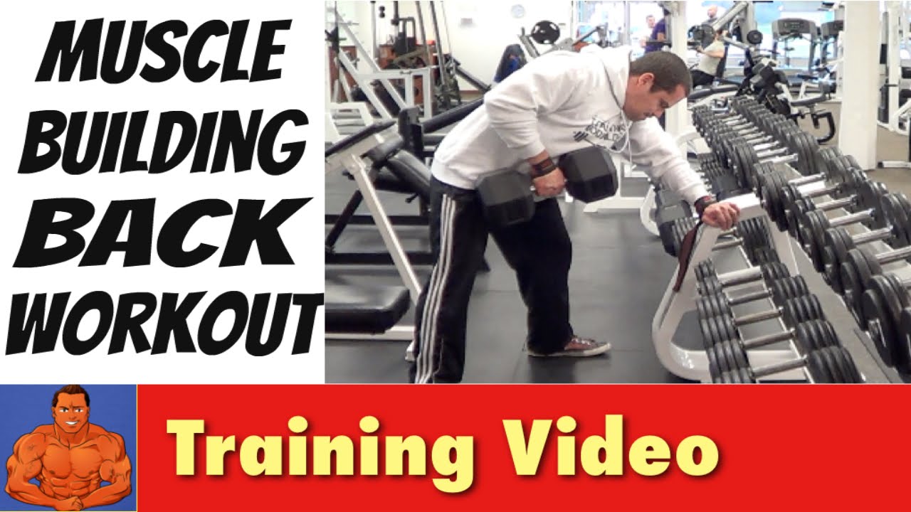 Killer Back Workout - Training at a New Gym