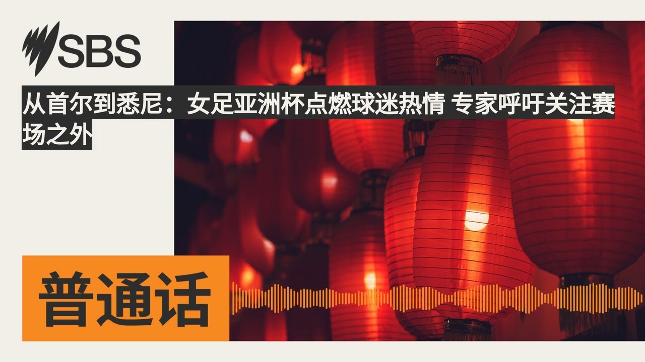 从首尔到悉尼：女足亚洲杯点燃球迷热情 专家呼吁关注赛场之外 | SBS Mandarin - SBS 普通话电台