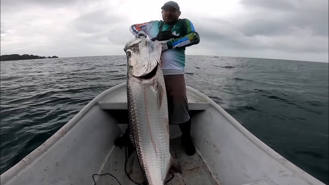 Pesca de Sábalo y Jurel en la Isla Uvita Limón Costa Rica