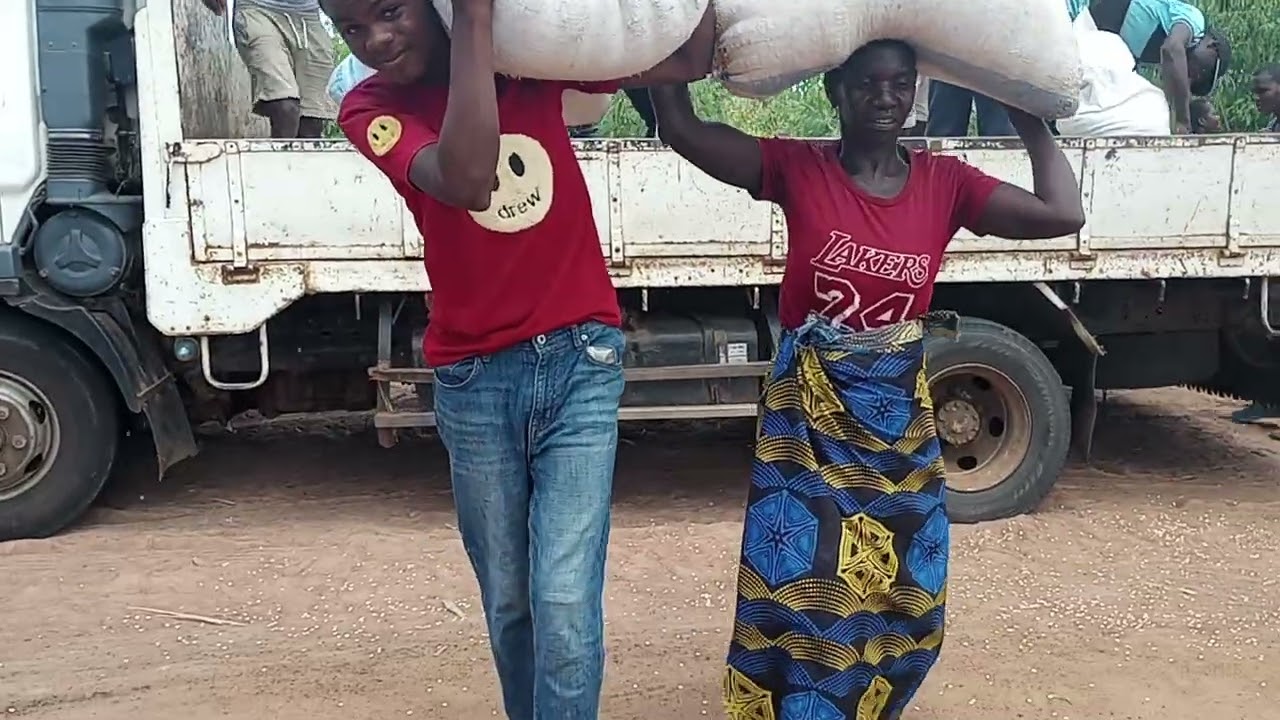 11 Happy With Maize