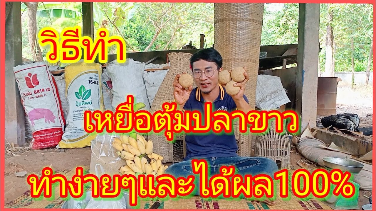 แจกสูตรเหยื่อตุ้มปลาขาวปลาอิไท เหมาะสำหรับมือใหม่ พร้อมวิธีทำแบบละเอียด เหยื่อตุ้มปลาขาวสูตร3