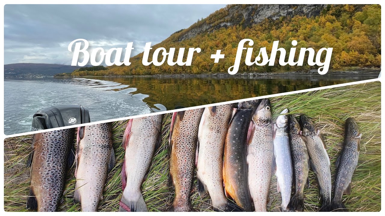Boat tour and fishing video | Fantastic  view  Fauske Norway