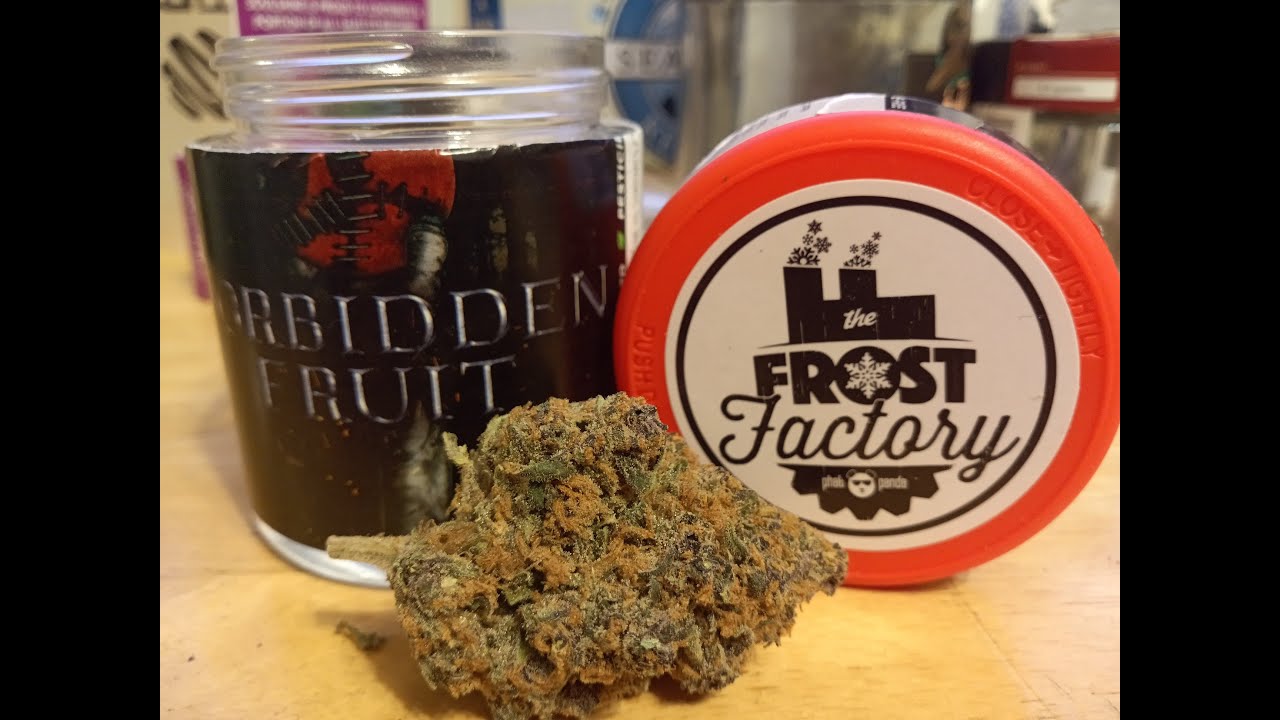 Forbidden Fruit by Phat Panda a.k.a Frost Factory