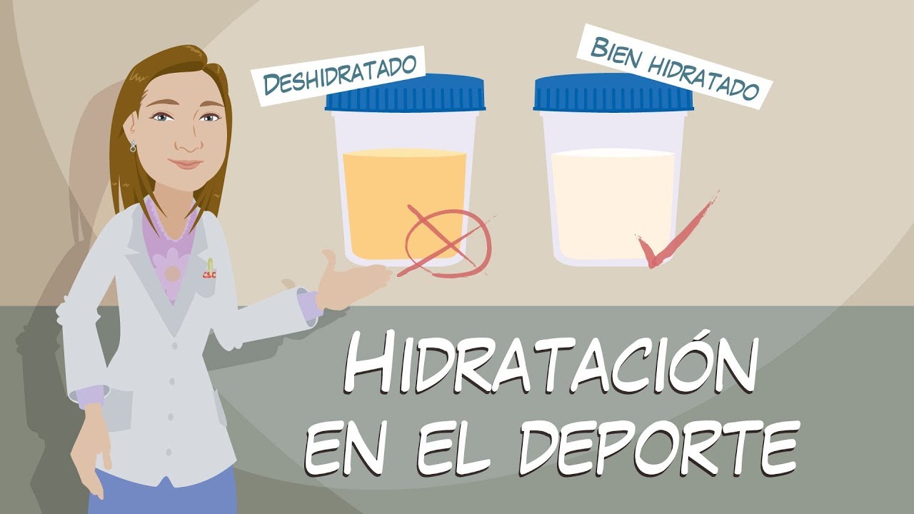 Hidratación en el Deporte