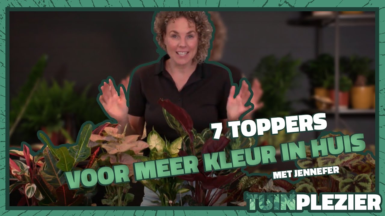 7 Toppers voor meer kleur in huis! 🌸🪴 | Tuinplezier