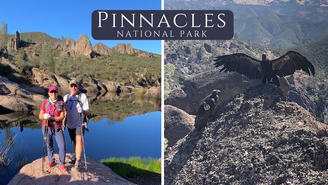 Pinnacles National Park // High Peaks Trail and Condors!