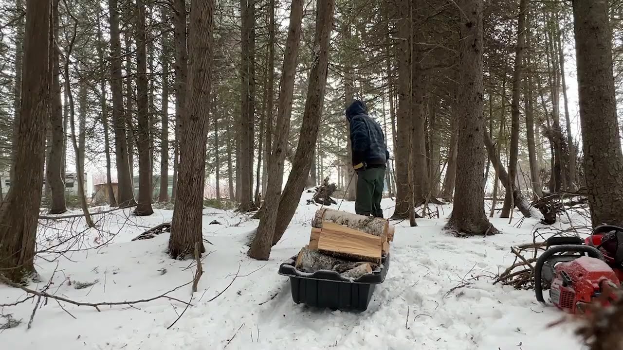 Firewood Harvesting in Winter