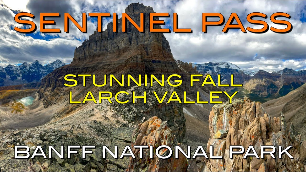 Are the Larches in Sentinel Pass overrated? | Fall Larch Valley - Banff National Park