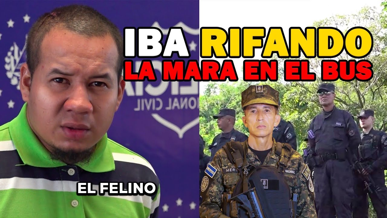 Así cayó “El Felino”, pandillero MS13 que intimidaba a salvadoreños en el transporte público