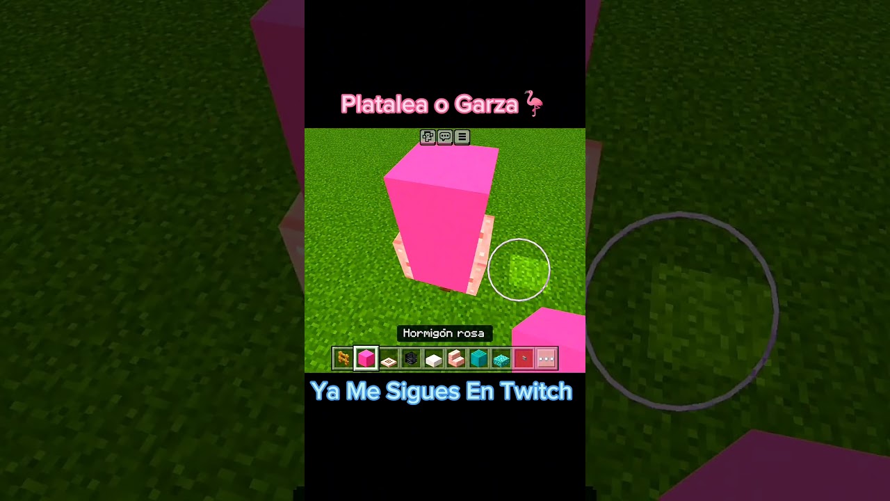 Hagamos Una Flamenco De Decoraci&oacute;n💯🦩🗿 #gaming #argentina #minicraft #minecraft